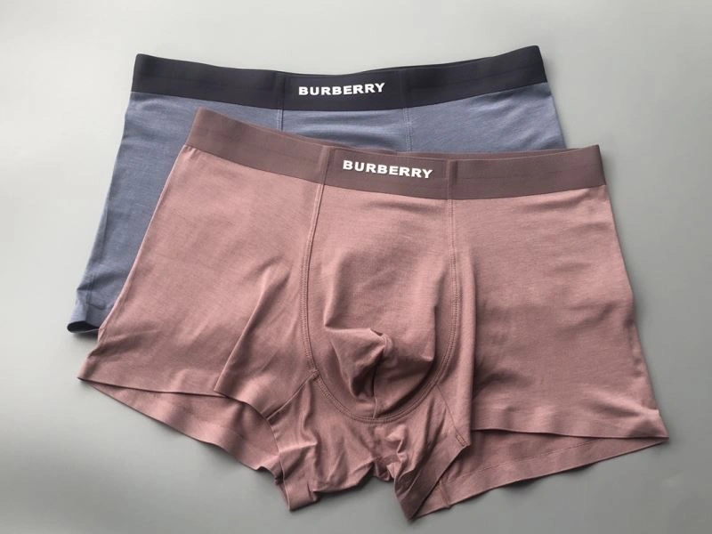 Burberry Underwear Flexible 276828