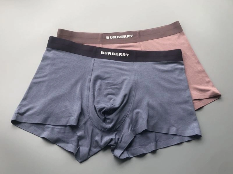 Burberry Underwear Flexible 276828