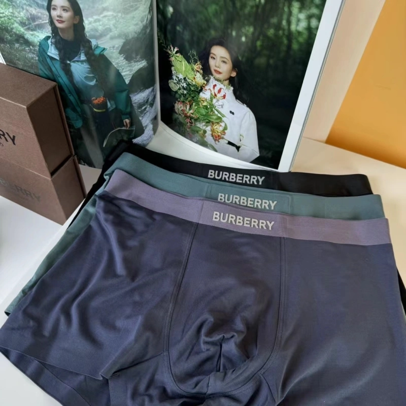 Burberry Underwear Trendy 276691
