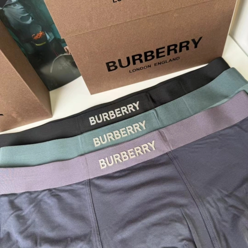 Burberry Underwear Trendy 276691