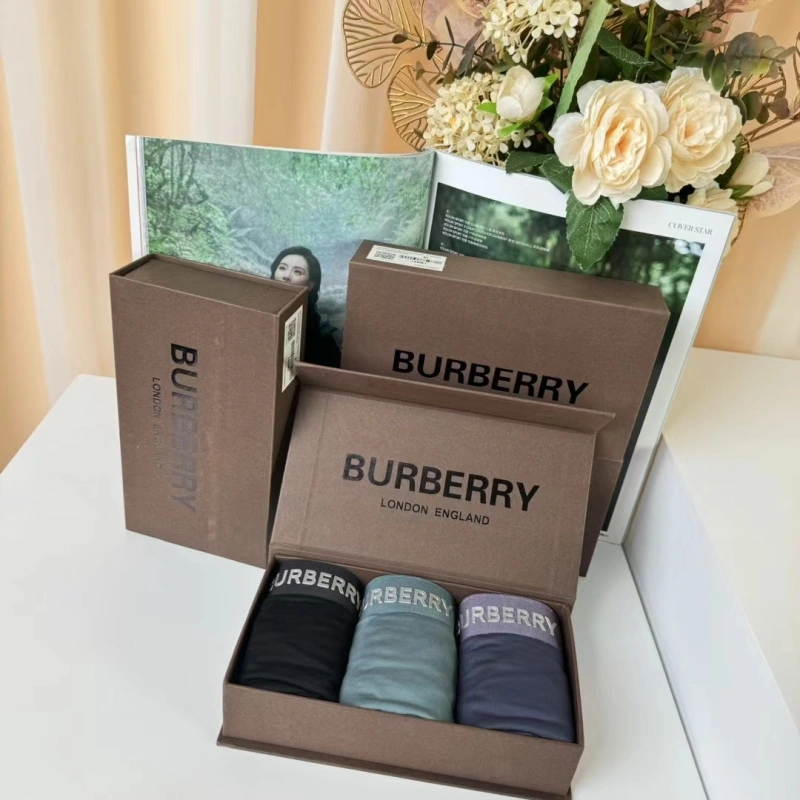 Burberry Underwear Trendy 276691