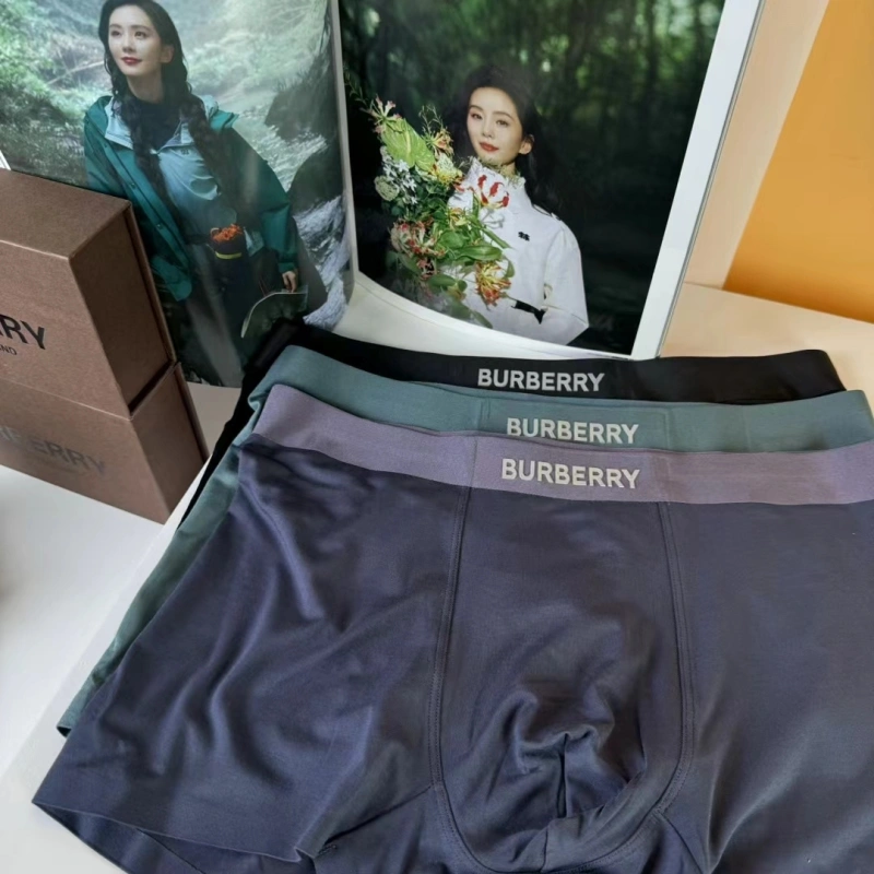 Burberry Underwear Trendy 276691
