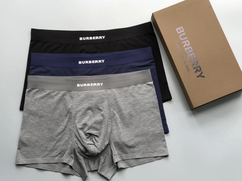 Premium Burberry Underwear 276688