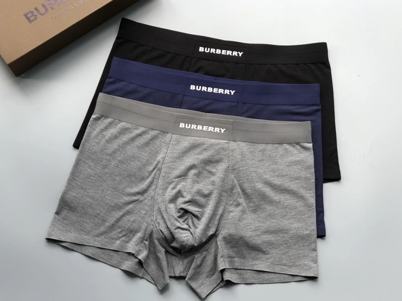 Premium Burberry Underwear 276688