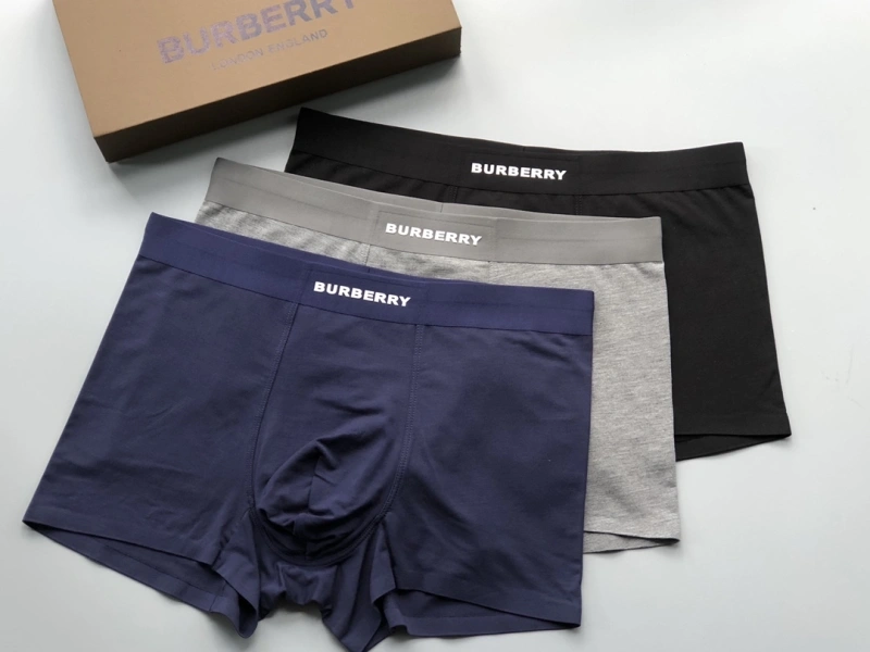 Premium Burberry Underwear 276688