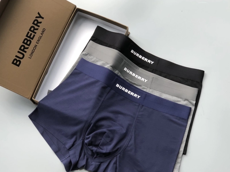 Premium Burberry Underwear 276688