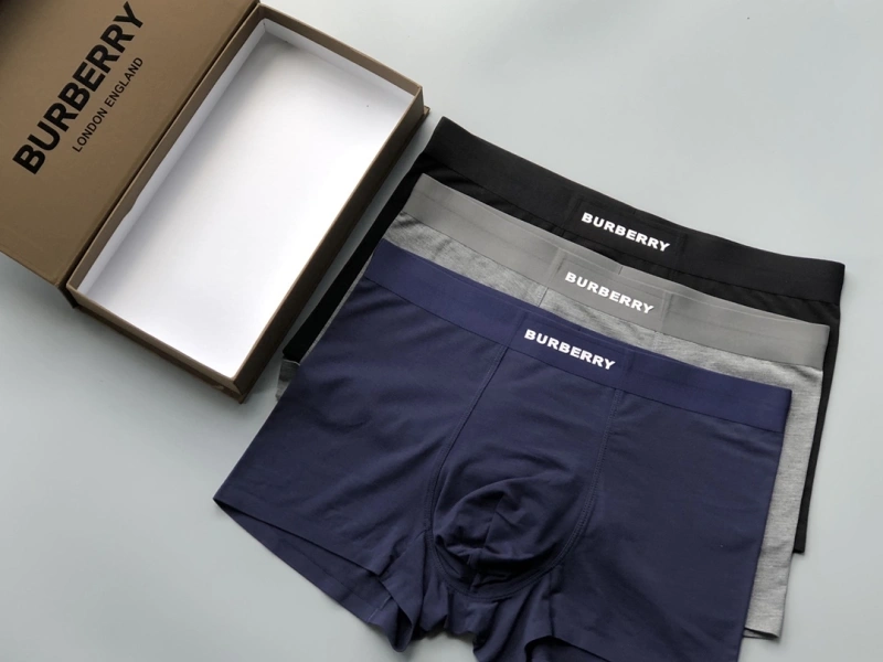 Premium Burberry Underwear 276688