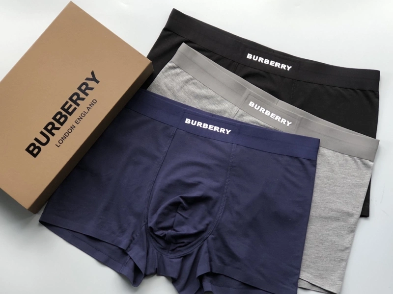 Premium Burberry Underwear 276688