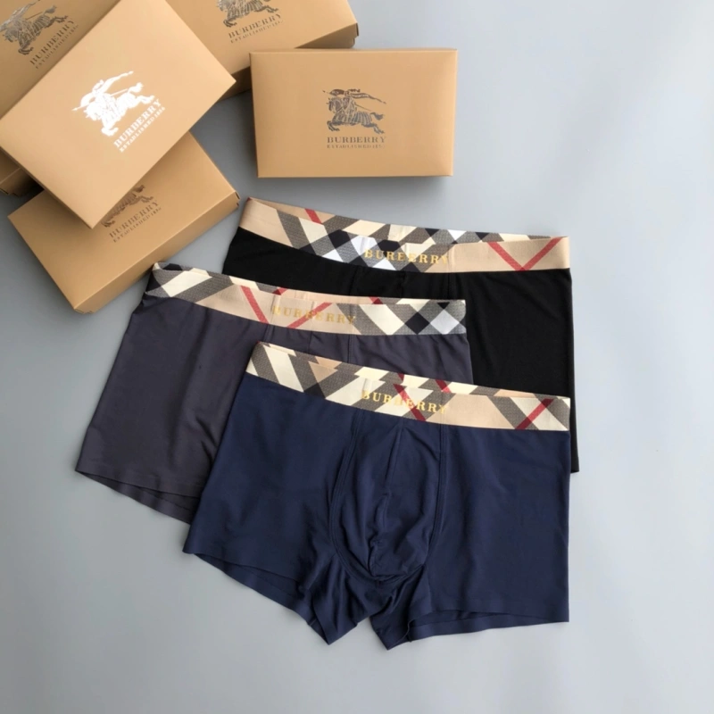 Burberry Underwear Versatile 276682