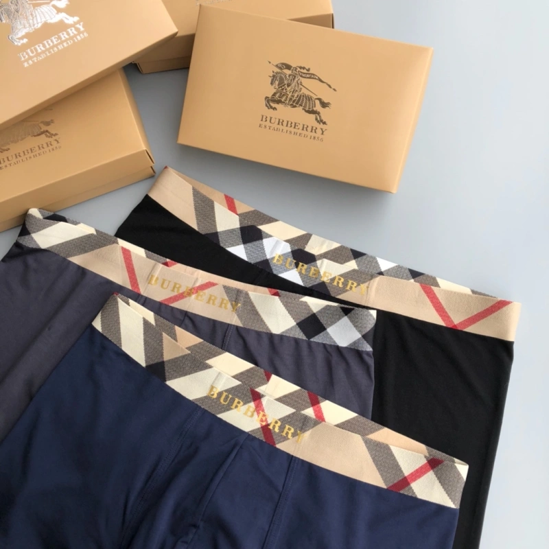 Burberry Underwear Versatile 276682