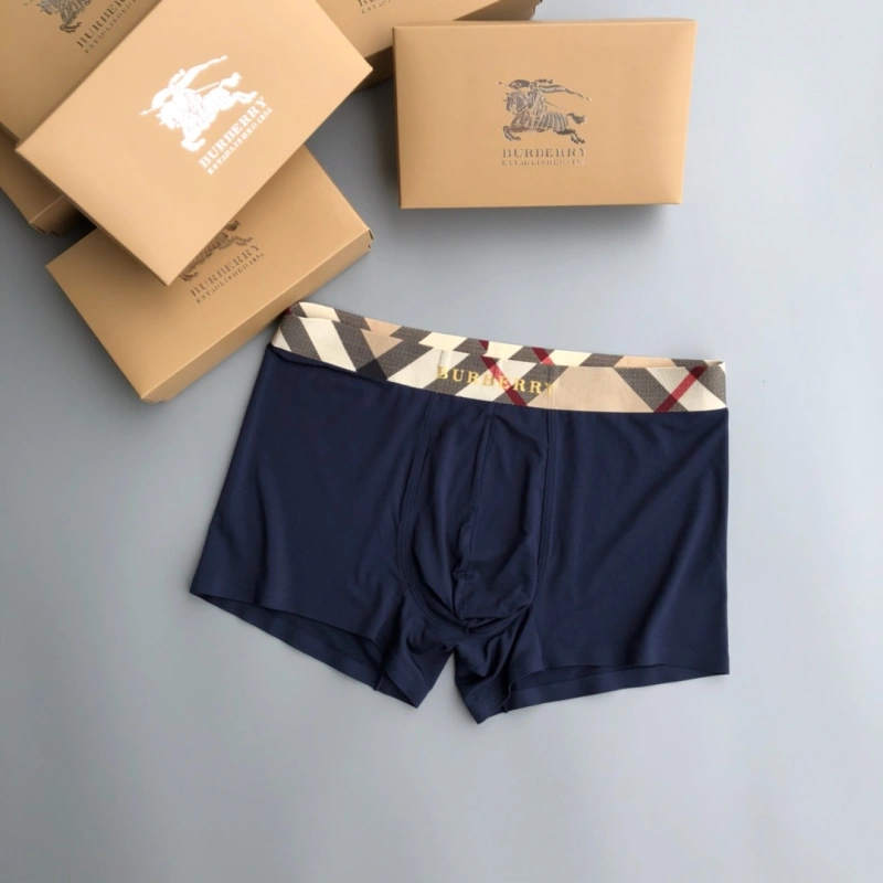 Burberry Underwear Versatile 276682
