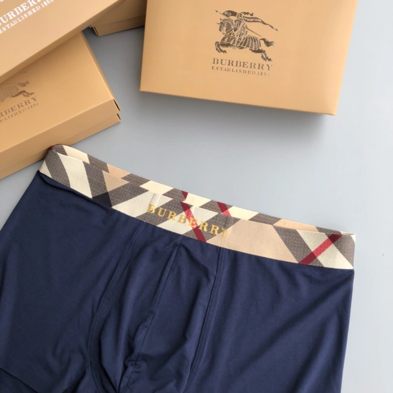 Burberry Underwear Versatile 276682
