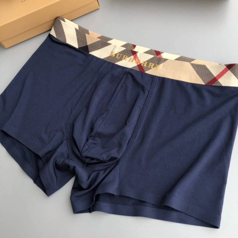 Burberry Underwear Versatile 276682