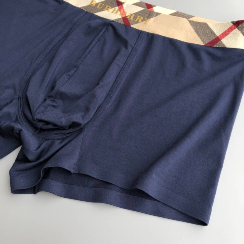 Burberry Underwear Versatile 276682
