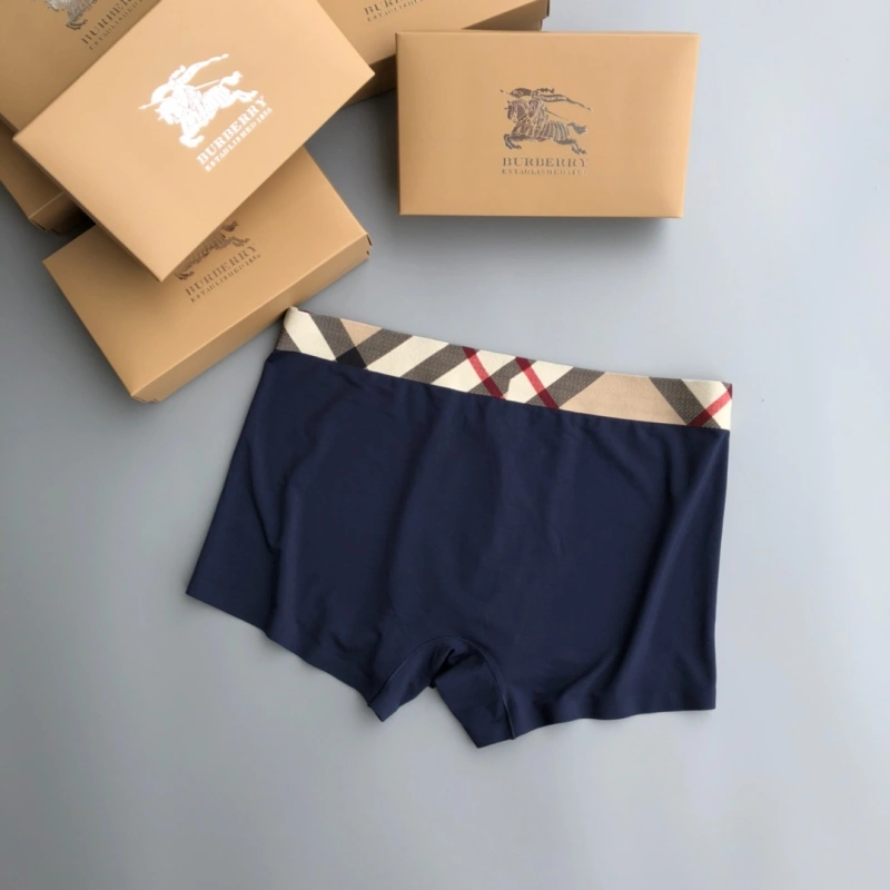 Burberry Underwear Versatile 276682