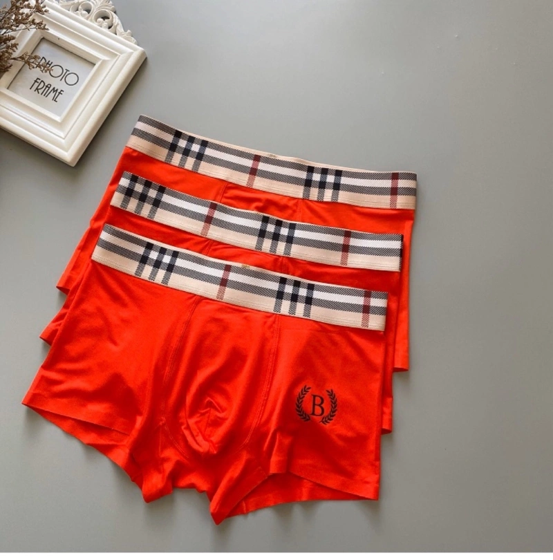 Attractive Burberry Underwear 276700