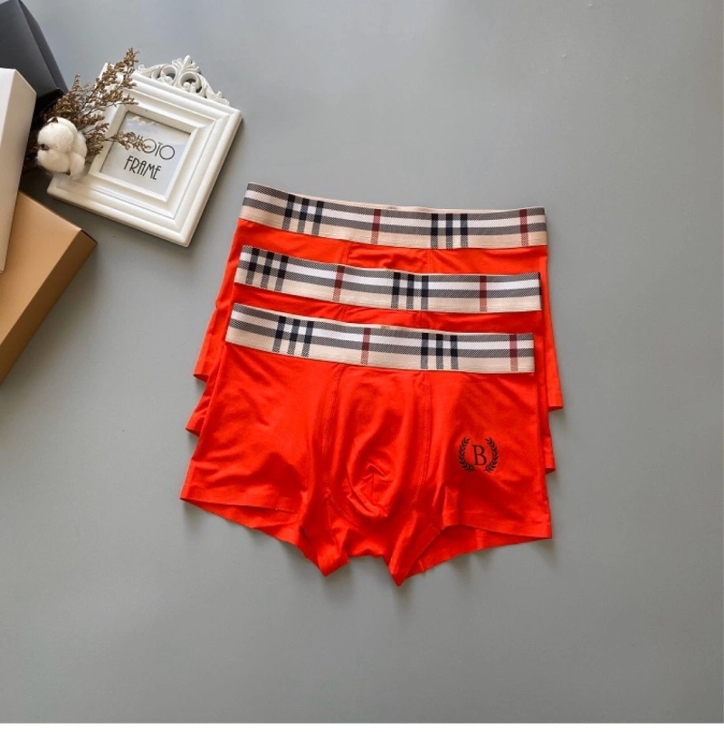 Attractive Burberry Underwear 276700