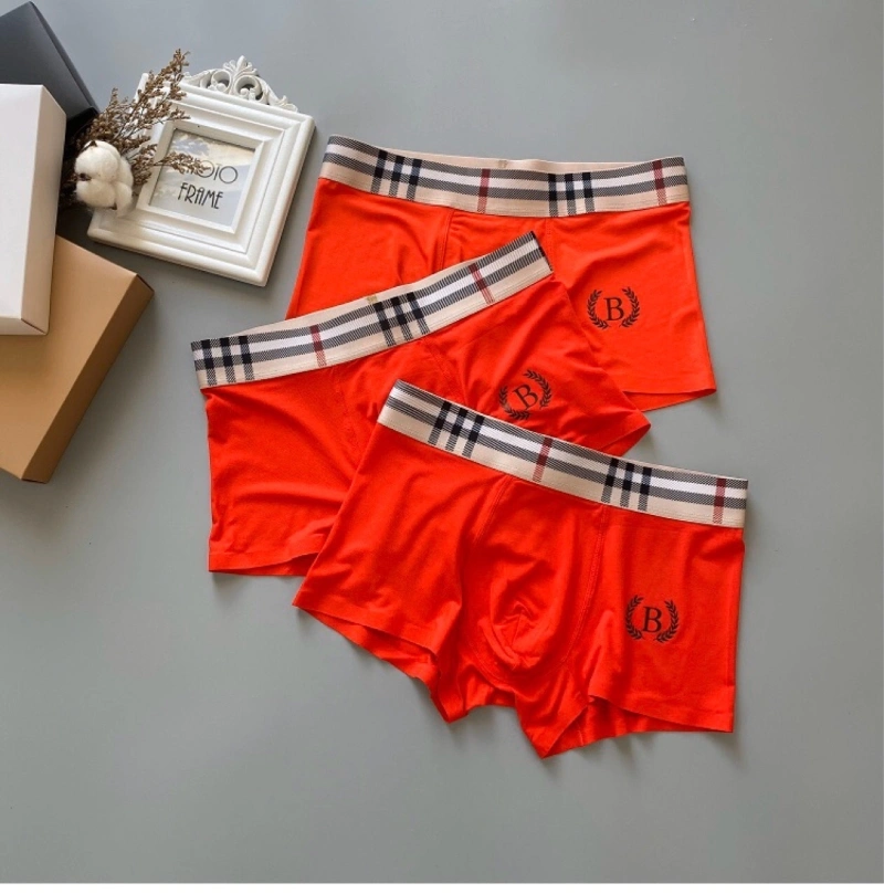 Attractive Burberry Underwear 276700