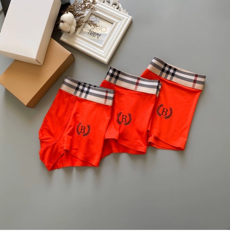 Attractive Burberry Underwear 276700