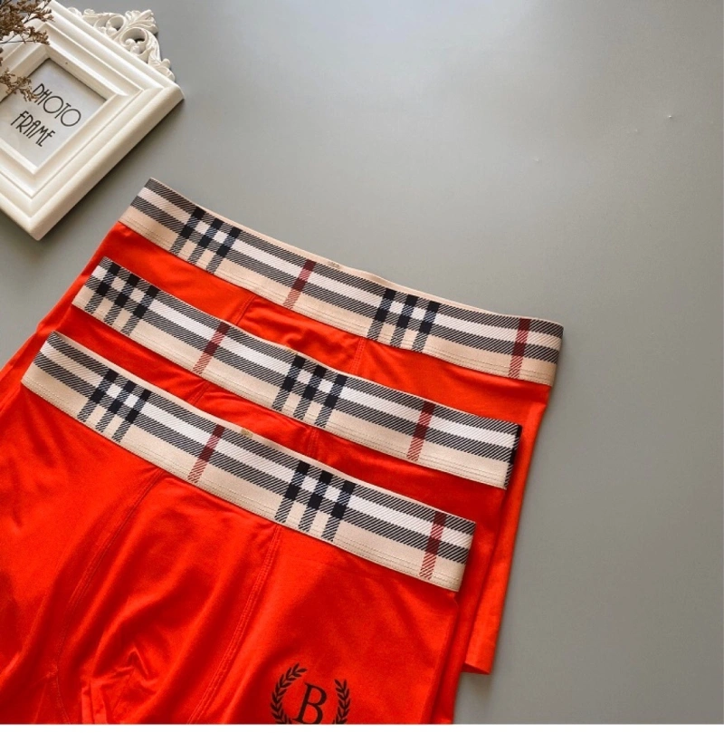 Attractive Burberry Underwear 276700