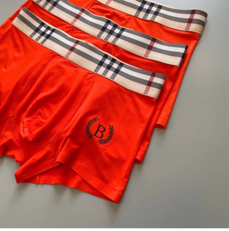 Attractive Burberry Underwear 276700