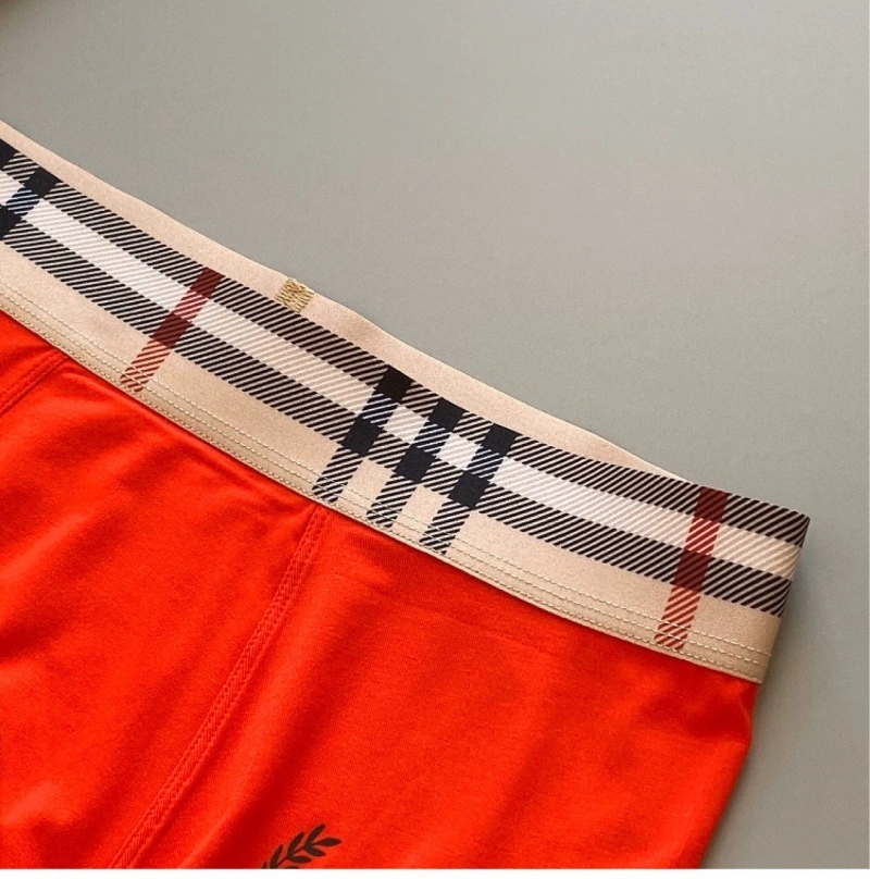 Attractive Burberry Underwear 276700