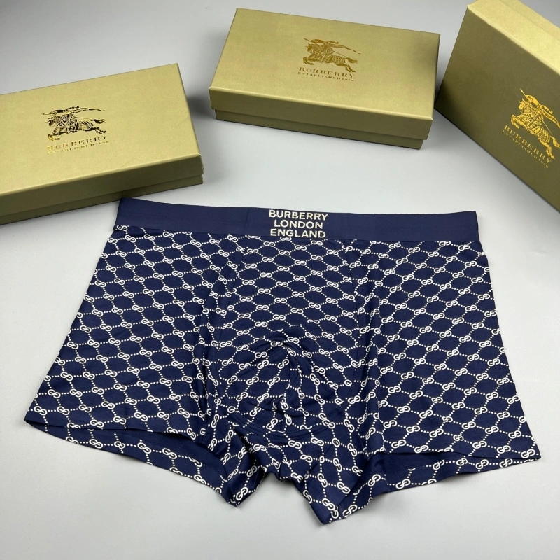 Burberry Underwear QuickDry 276681