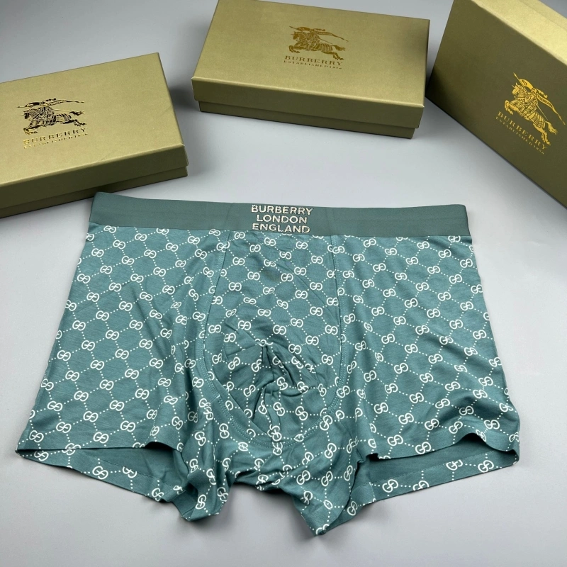 Burberry Underwear QuickDry 276681