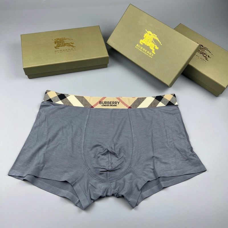 Chic Burberry Underwear 276679