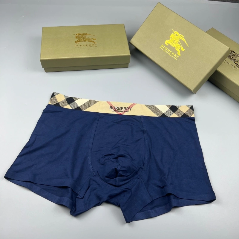 Chic Burberry Underwear 276679