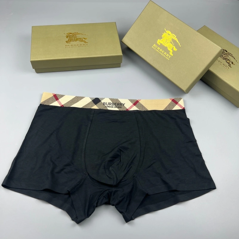 Chic Burberry Underwear 276679