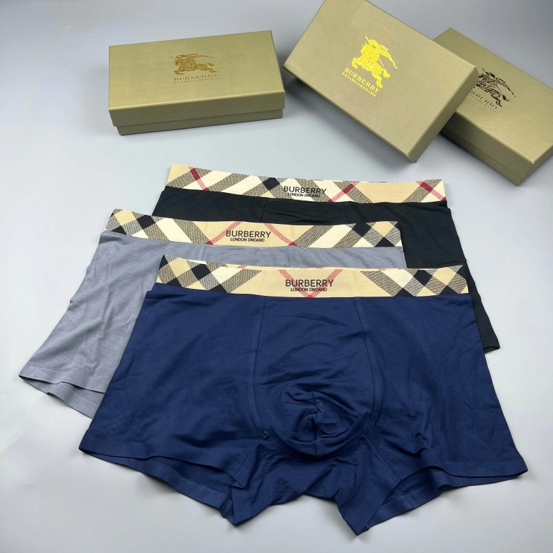 Chic Burberry Underwear 276679