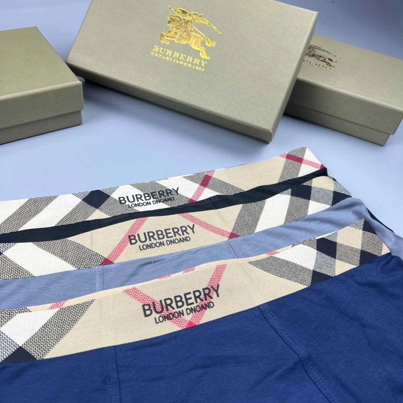 Chic Burberry Underwear 276679