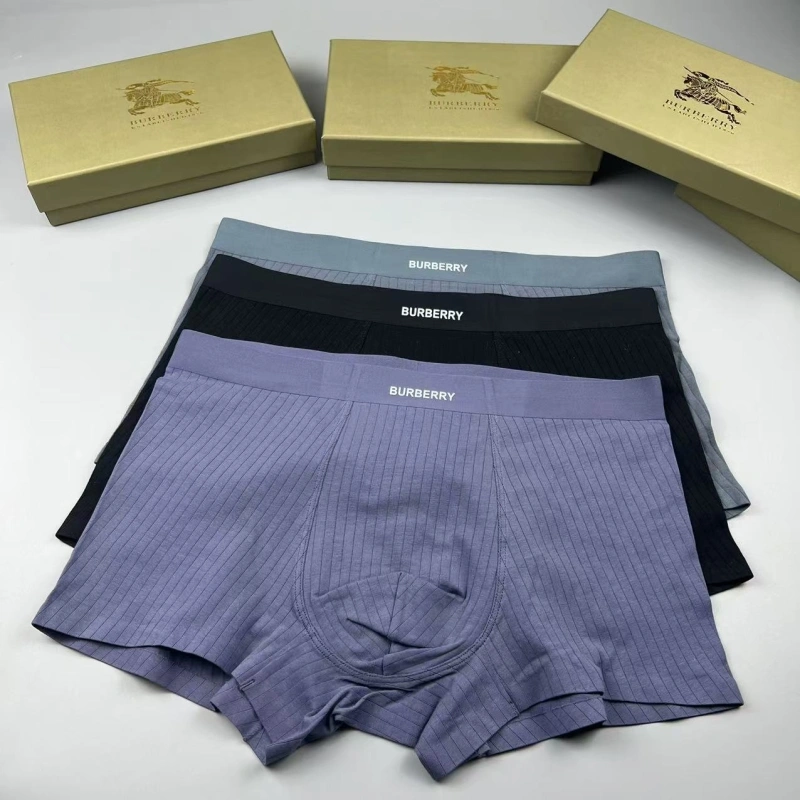 Flexible Burberry Underwear 276693