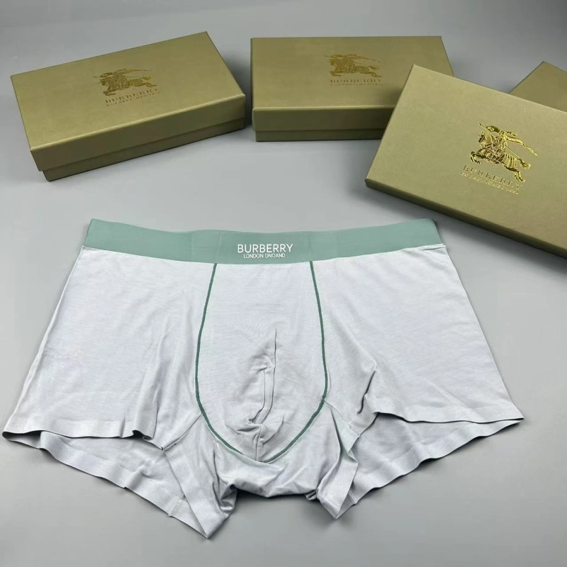 Burberry Underwear WeatherProof 276684