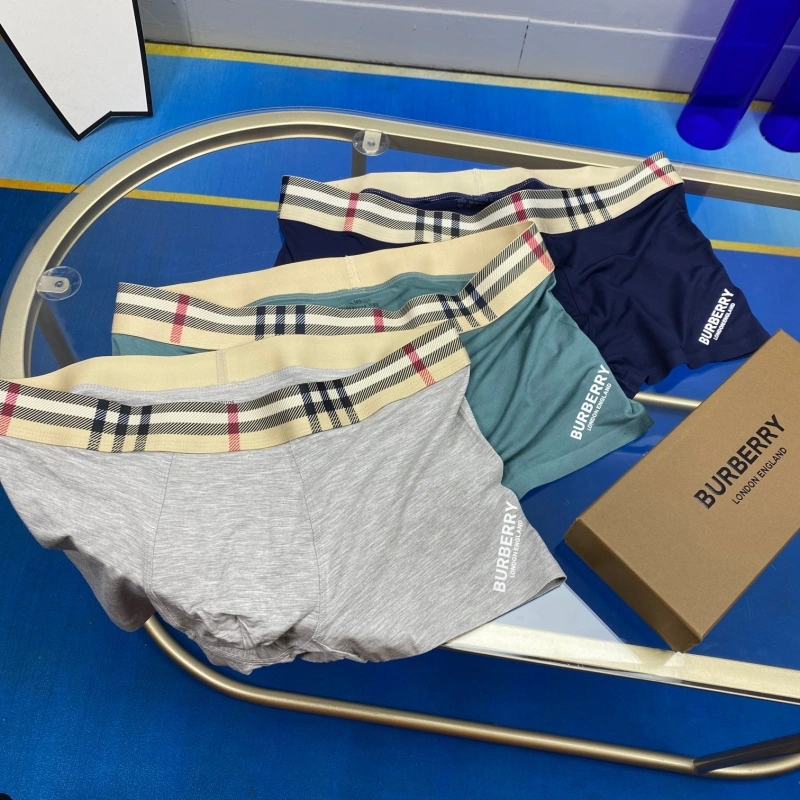 Burberry Underwear Youthful 276529