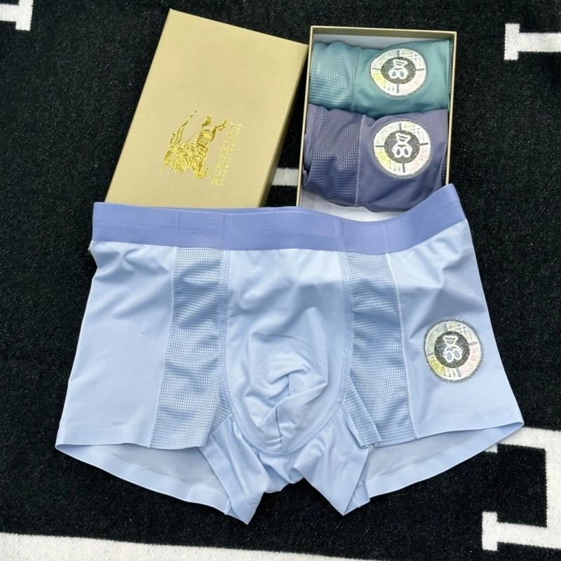 Effortless Burberry Underwear 276518