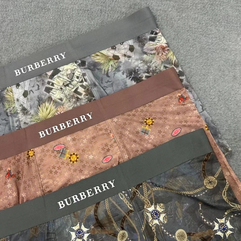 Burberry Underwear OnTrend 276507