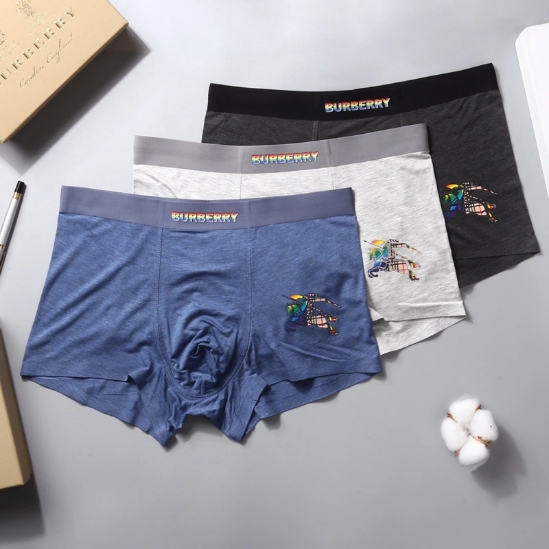 Burberry Underwear SportInspired 276517