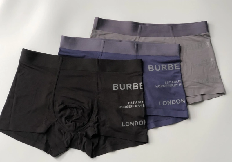 Burberry Underwear Upgraded 276526