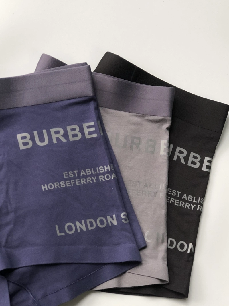 Burberry Underwear Upgraded 276526