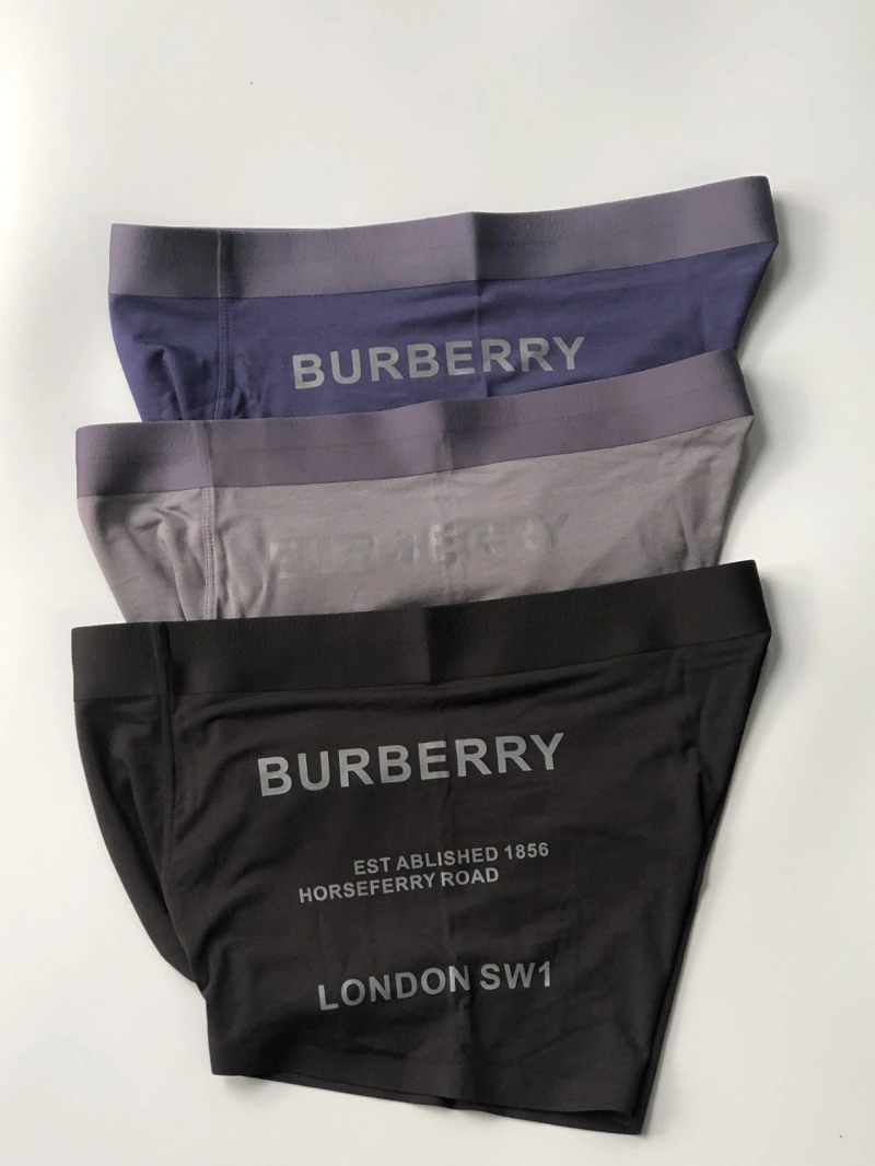 Burberry Underwear Upgraded 276526