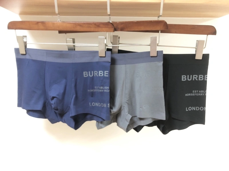 Burberry Underwear Upgraded 276526