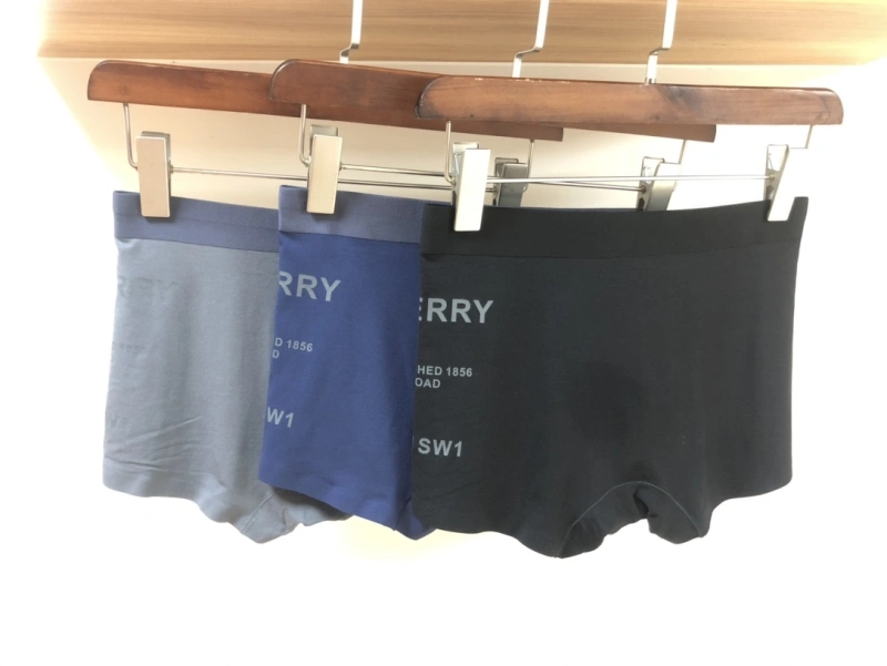 Burberry Underwear Upgraded 276526