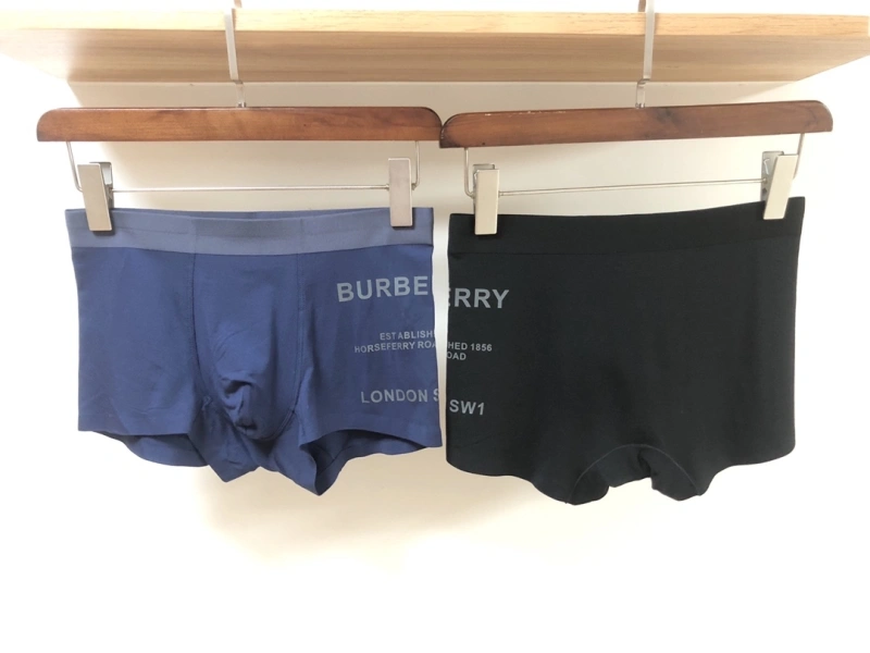 Burberry Underwear Upgraded 276526