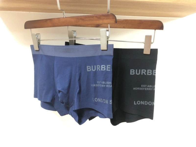 Burberry Underwear Upgraded 276526