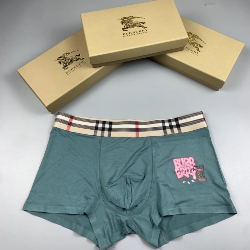 Burberry Underwear Trendy 276513