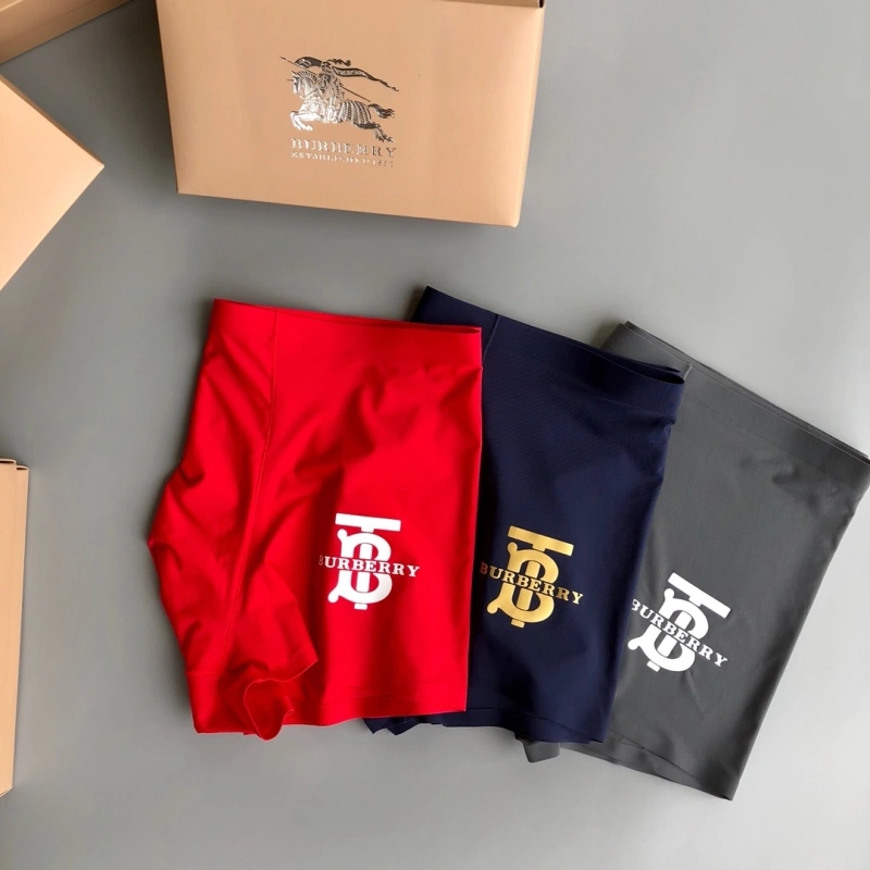 Upgraded Burberry Underwear 276519