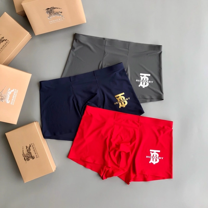 Upgraded Burberry Underwear 276519