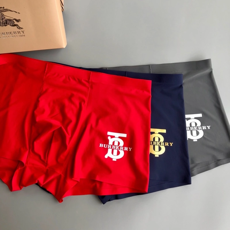 Upgraded Burberry Underwear 276519